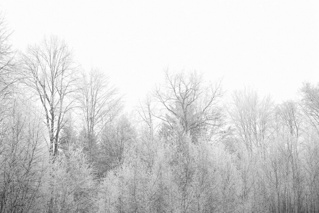 autumn, winter, trees-839563.jpg Blog graphic for blog post how a last minute hotel room taught thankfulness at awomansoutlook.com.